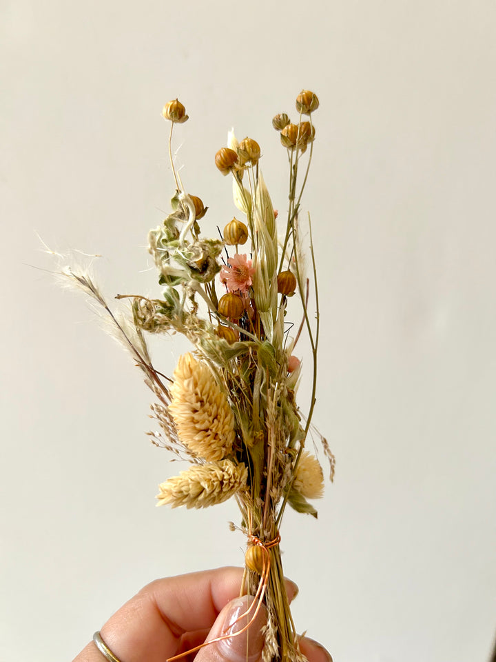 Boho Dried Flower Mini Bouquet Bundle